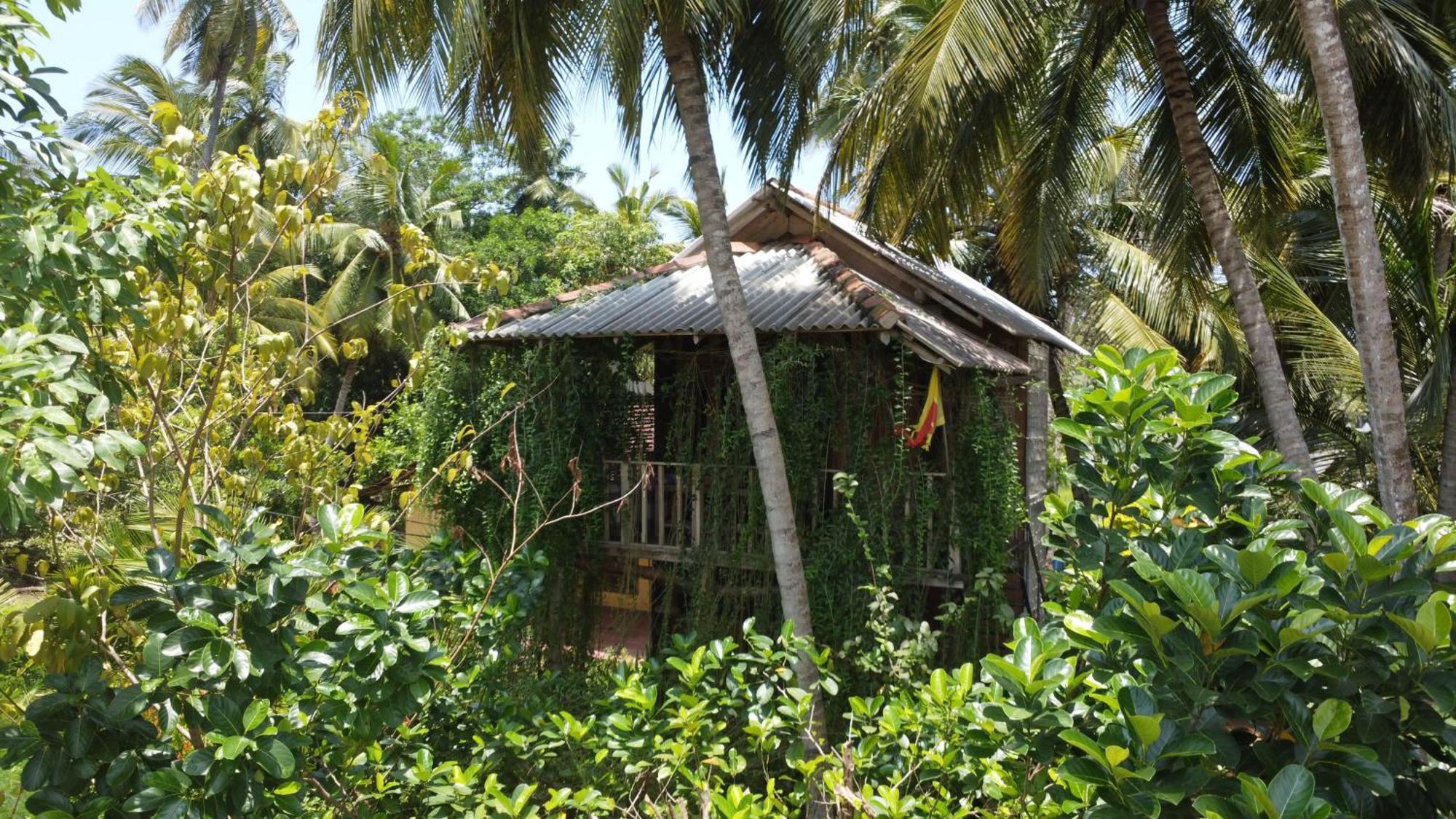 Coconut Island Yala Safari Place Tissamaharama Exteriér fotografie